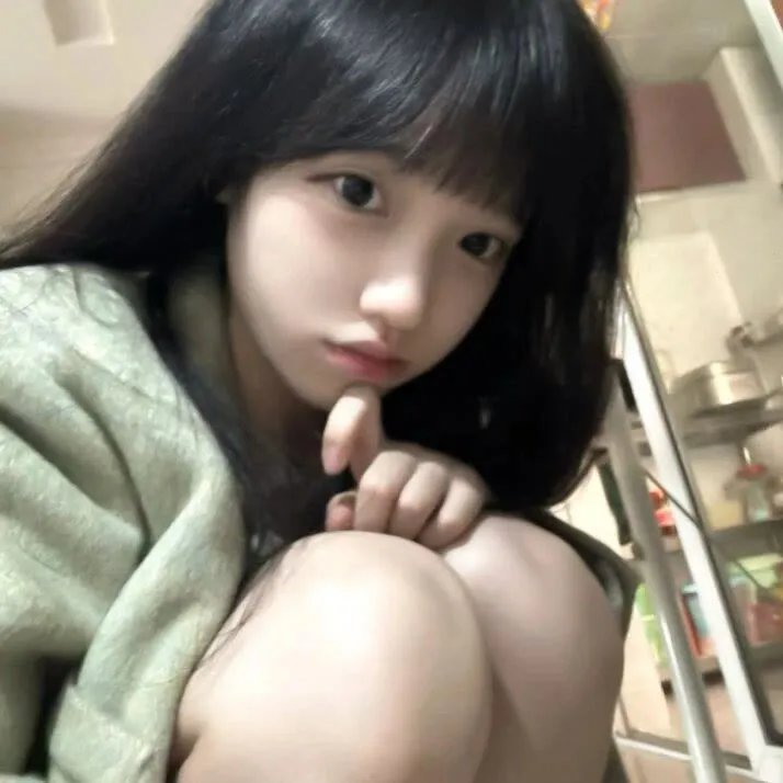 美国派2